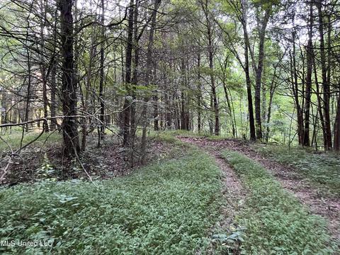 2900 Starlanding Rd, Nesbit, MS 38651 photo 6