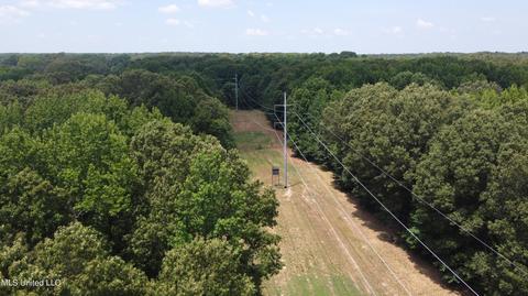 2900 Starlanding Rd, Nesbit, MS 38651 photo 22