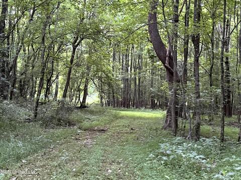 2900 Starlanding Rd, Nesbit, MS 38651 photo 15