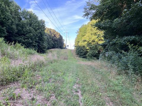 2900 Starlanding Rd, Nesbit, MS 38651 photo 7