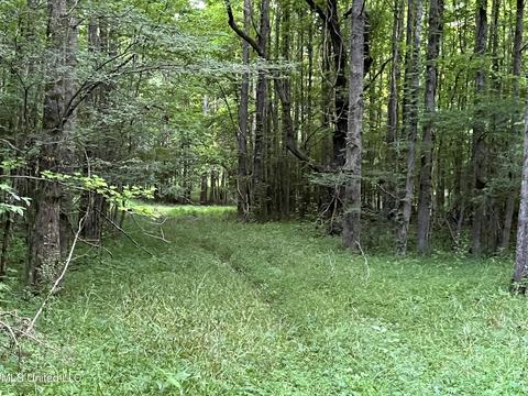 2900 Starlanding Rd, Nesbit, MS 38651 photo 13