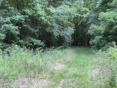 2900 Starlanding Rd, Nesbit, MS 38651 photo 12