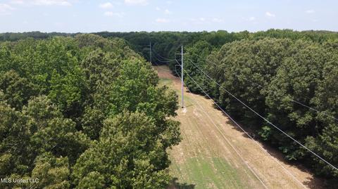 2900 Starlanding Rd, Nesbit, MS 38651 photo 19