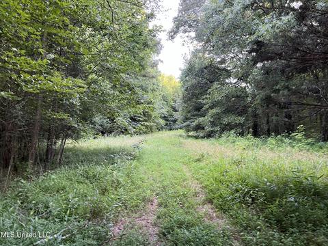 2900 Starlanding Rd, Nesbit, MS 38651 photo 8