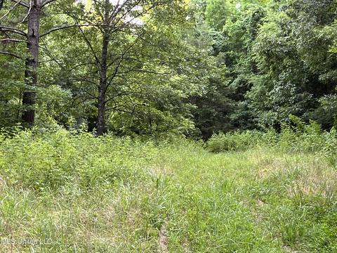 2900 Starlanding Rd, Nesbit, MS 38651 photo 11