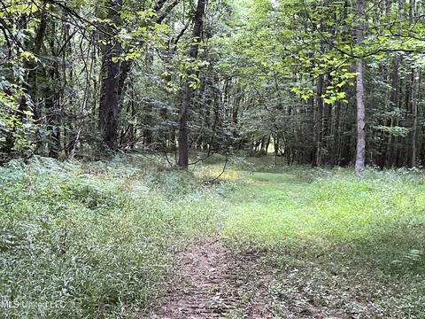 2900 Starlanding Rd, Nesbit, MS 38651 photo 14
