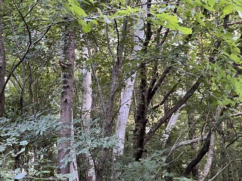 2900 Starlanding Rd, Nesbit, MS 38651 photo 10