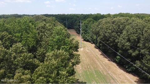 2900 Starlanding Rd, Nesbit, MS 38651 photo 16
