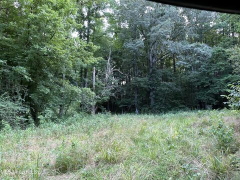 2900 Starlanding Rd, Nesbit, MS 38651 photo 3