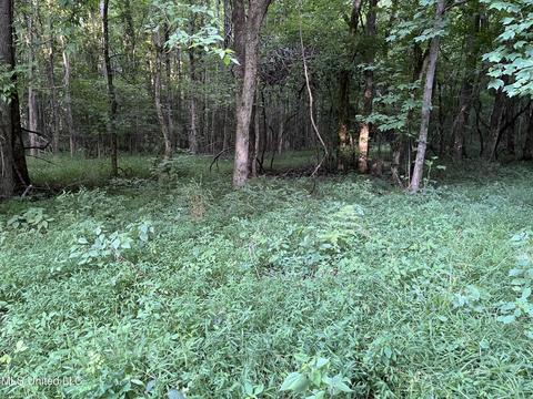 2900 Starlanding Rd, Nesbit, MS 38651 photo 2