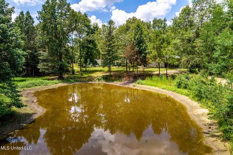 9000 Wire Rd, Vancleave, MS 39565 photo 35