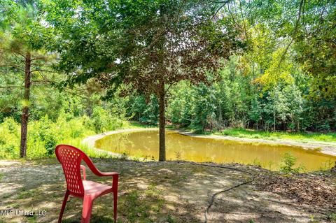 9000 Wire Rd, Vancleave, MS 39565 photo 30
