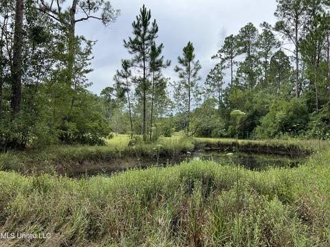 18481 Confederate Rd, Saucier, MS 39574 photo 23