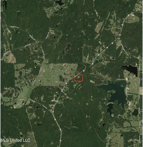17665 Highway 22, Jackson, MS 39209 photo 88