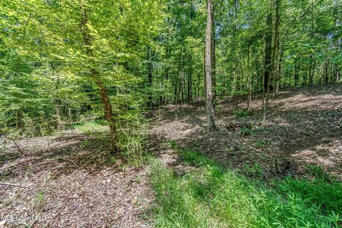 17665 Highway 22, Jackson, MS 39209 photo 78