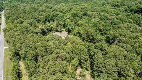 17665 Highway 22, Jackson, MS 39209 photo 74