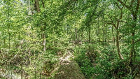 17665 Highway 22, Jackson, MS 39209 photo 75