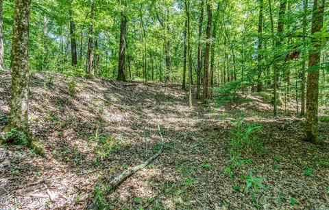 17665 Highway 22, Jackson, MS 39209 photo 77