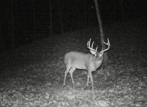 17665 Highway 22, Jackson, MS 39209 photo 76