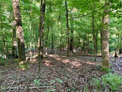 17665 Highway 22, Jackson, MS 39209 photo 80