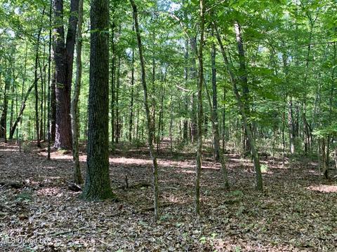 17665 Highway 22, Jackson, MS 39209 photo 85