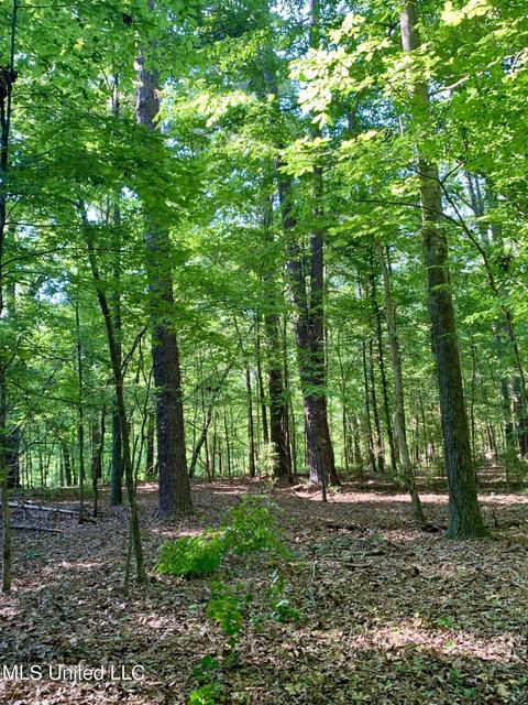 17665 Highway 22, Jackson, MS 39209 photo 82