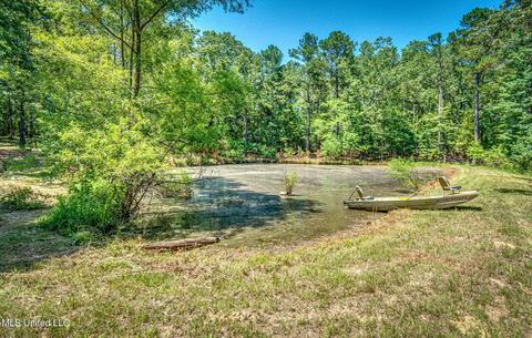 17665 Highway 22, Jackson, MS 39209 photo 70