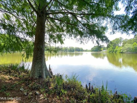 109 Shadow Lawn Dr, Florence, MS 39073 photo 9