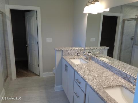 818 W Fairway Pointe Cove Cv, Hernando, MS 38632 photo 10