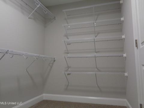 818 W Fairway Pointe Cove Cv, Hernando, MS 38632 photo 13