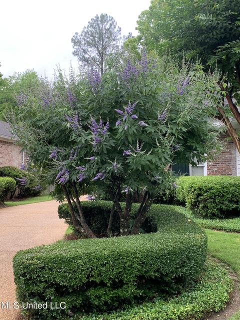 5363 Carolwood Dr, Jackson, MS 39211 photo 46