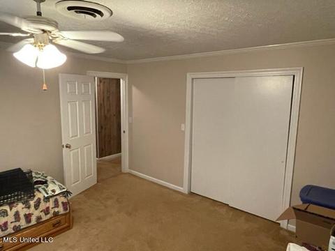 803 Line Dr, Forest, MS 39074 photo 19