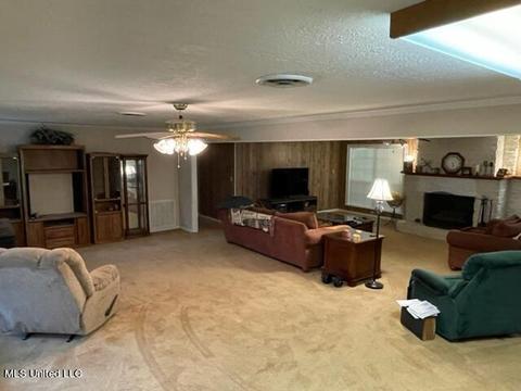 803 Line Dr, Forest, MS 39074 photo 15