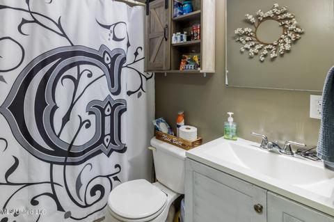 710 Pleasant Hill Rd, Nesbit, MS 38651 photo 14