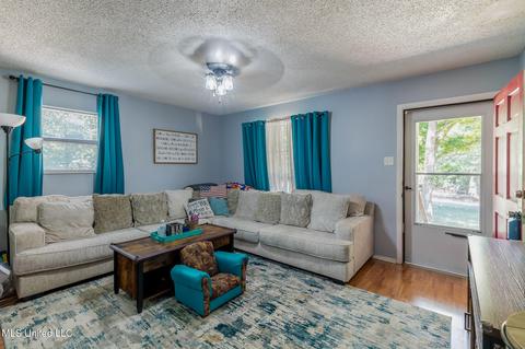 710 Pleasant Hill Rd, Nesbit, MS 38651 photo 9