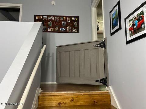 710 Pleasant Hill Rd, Nesbit, MS 38651 photo 20