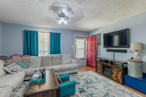 710 Pleasant Hill Rd, Nesbit, MS 38651 photo 8