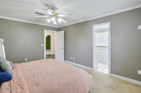 304 Afton Dr, Brandon, MS 39042 photo 19