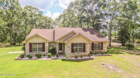 45 Jim Bowden Rd, Mchenry, MS 39561 photo 1