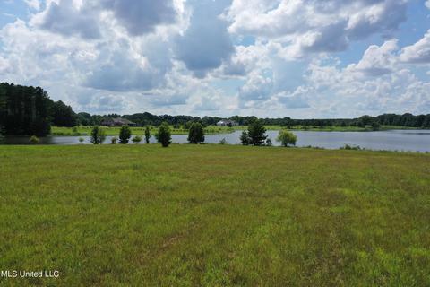 351 Windermere Blvd, Madison, MS 39110 photo 10