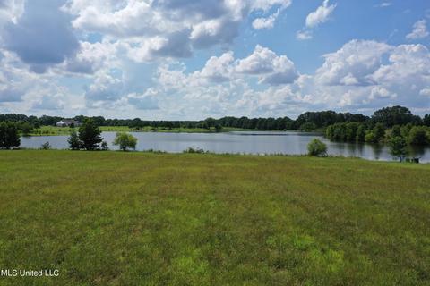 351 Windermere Blvd, Madison, MS 39110 photo 9