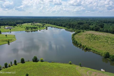 351 Windermere Blvd, Madison, MS 39110 photo 5