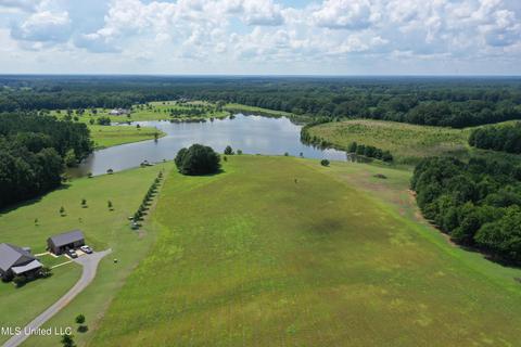 351 Windermere Blvd, Madison, MS 39110 photo 4