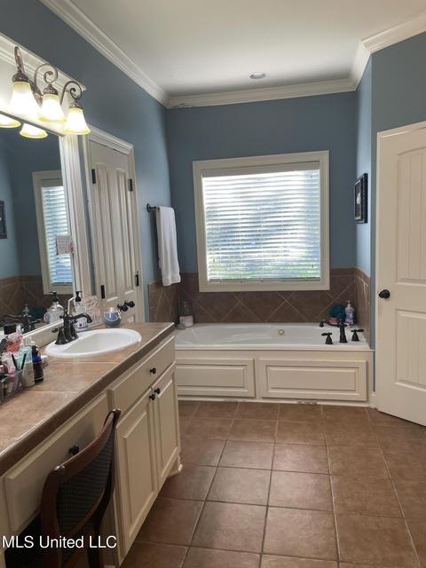 701 Tortoise Rdg, Brandon, MS 39047 photo 10