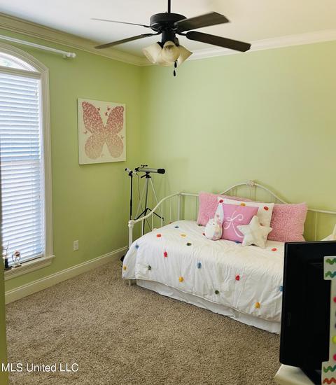 701 Tortoise Rdg, Brandon, MS 39047 photo 13