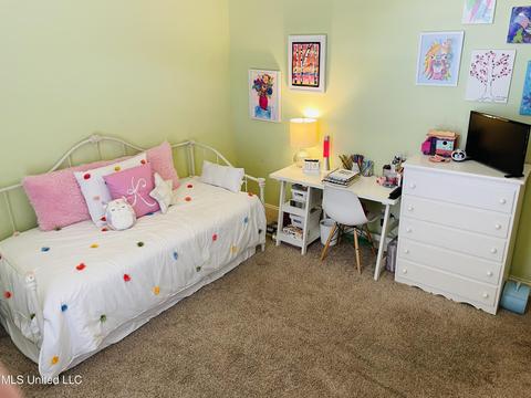 701 Tortoise Rdg, Brandon, MS 39047 photo 14