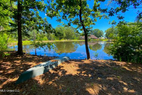 138 Brookstone Way, Madison, MS 39110 photo 48
