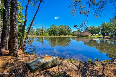 138 Brookstone Way, Madison, MS 39110 photo 49