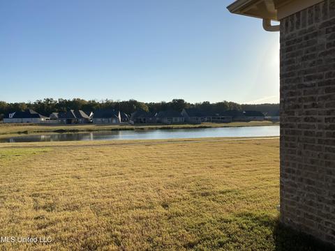 2126 W Watson Vw, Nesbit, MS 38651 photo 10