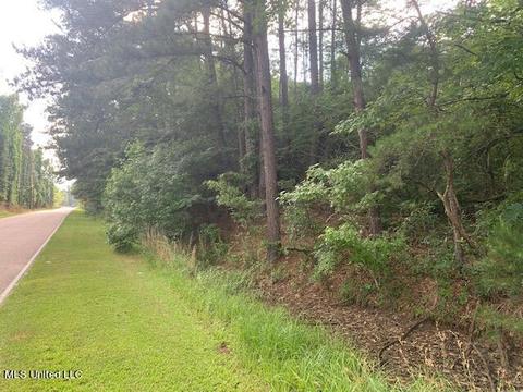 5296 Tank Rd, Terry, MS 39170 photo 1
